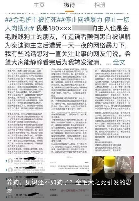 养狗，见识还不如狗了？金毛犬之死引发的思考