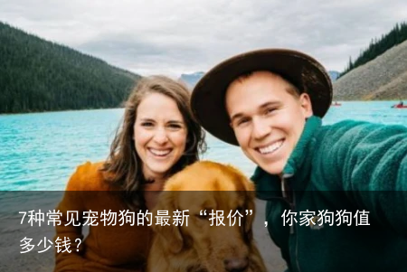 7种常见宠物狗的最新“报价”，你家狗狗值多少钱？