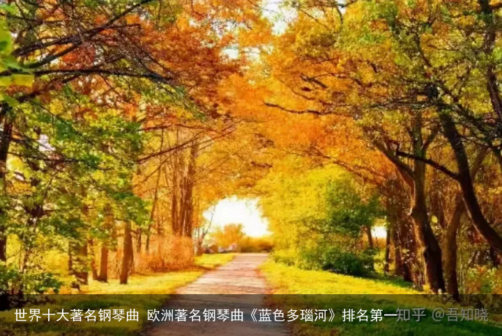 世界十大著名钢琴曲 欧洲著名钢琴曲《蓝色多瑙河》排名第一