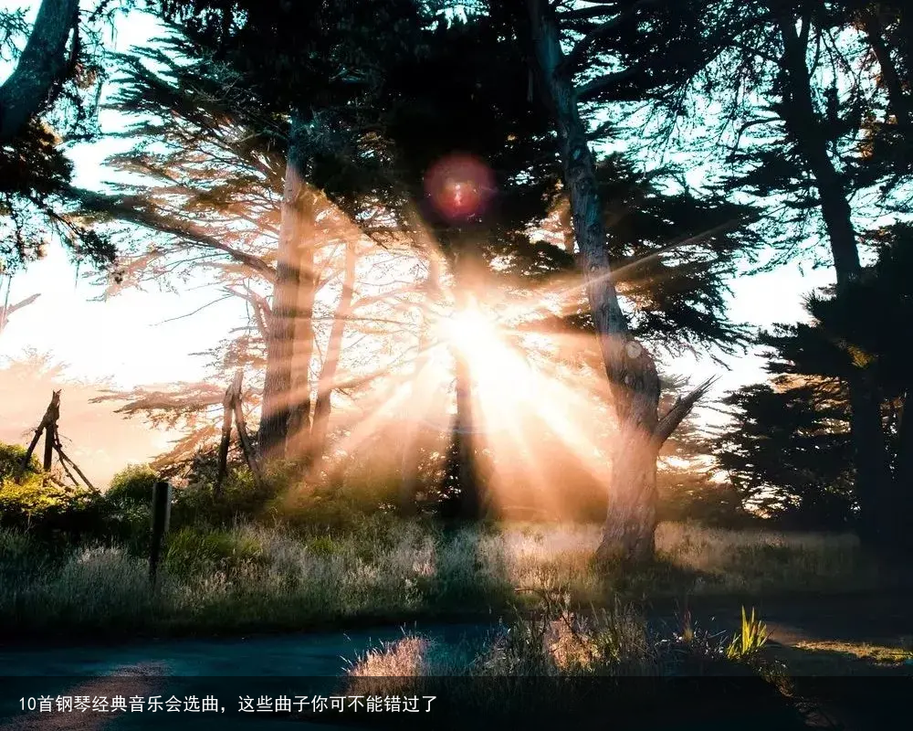 10首钢琴经典音乐会选曲，这些曲子你可不能错过了