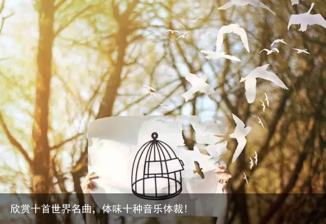 欣赏十首世界名曲，体味十种音乐体裁!
