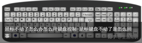 鼠标不动了怎么办怎么用键盘控制-鼠标键盘不动了是怎么回事