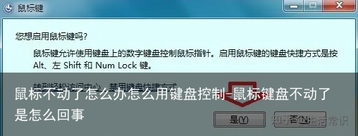 鼠标不动了怎么办怎么用键盘控制-鼠标键盘不动了是怎么回事