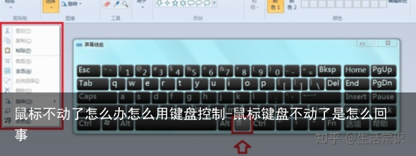 鼠标不动了怎么办怎么用键盘控制-鼠标键盘不动了是怎么回事