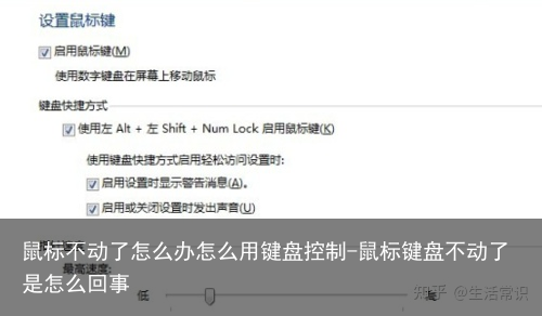 鼠标不动了怎么办怎么用键盘控制-鼠标键盘不动了是怎么回事