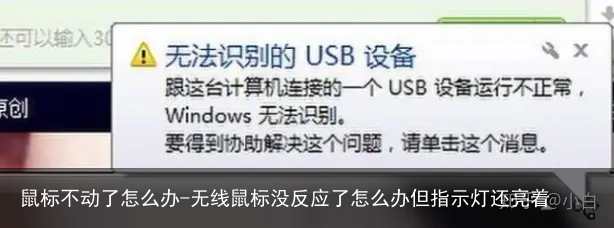 鼠标不动了怎么办-无线鼠标没反应了怎么办但指示灯还亮着