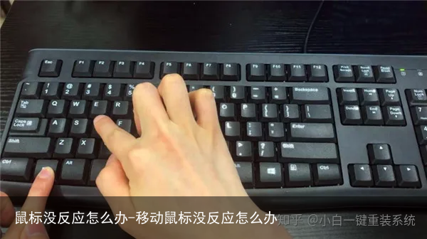 鼠标没反应怎么办-移动鼠标没反应怎么办