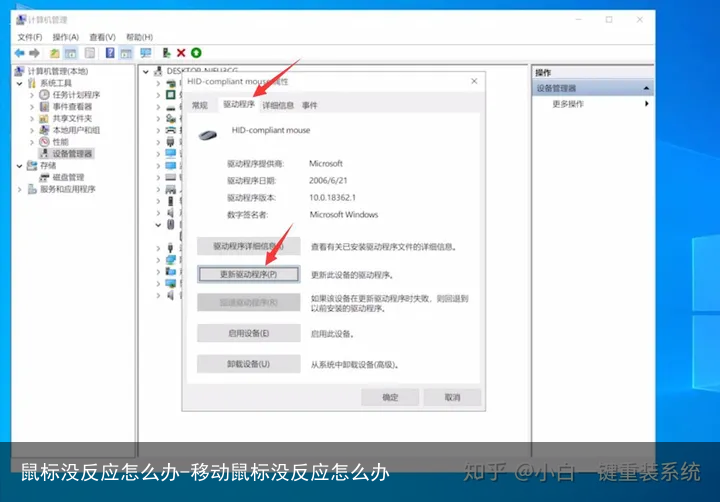 鼠标没反应怎么办-移动鼠标没反应怎么办