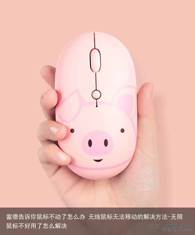 富德告诉你鼠标不动了怎么办 无线鼠标无法移动的解决方法-无限鼠标不好用了怎么解决