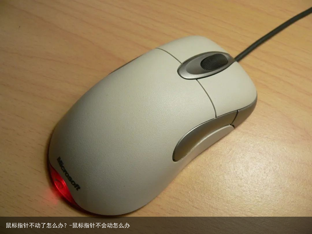 鼠标指针不动了怎么办？-鼠标指针不会动怎么办