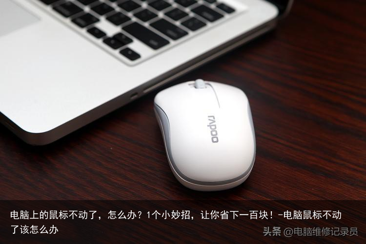 电脑上的鼠标不动了，怎么办？1个小妙招，让你省下一百块！-电脑鼠标不动了该怎么办