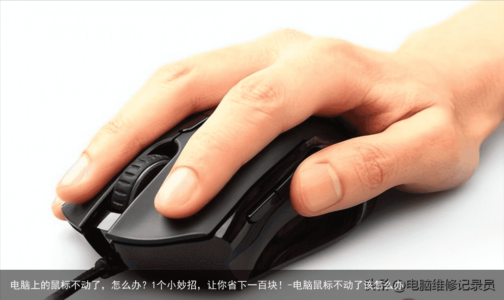 电脑上的鼠标不动了，怎么办？1个小妙招，让你省下一百块！-电脑鼠标不动了该怎么办