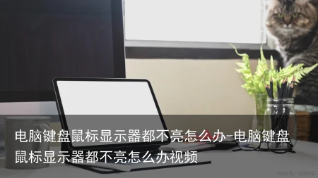 电脑键盘鼠标显示器都不亮怎么办-电脑键盘鼠标显示器都不亮怎么办视频