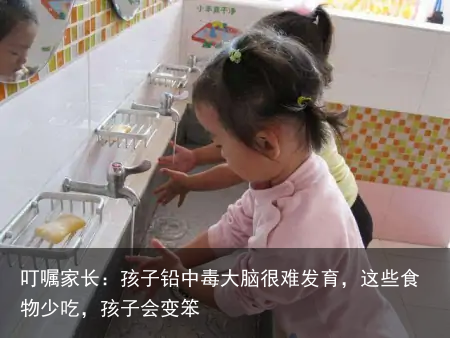 叮嘱家长：孩子铅中毒大脑很难发育，这些食物少吃，孩子会变笨