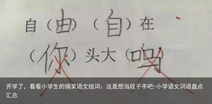 开学了，看看小学生的搞笑语文组词：这是想当段子手吧-小学语文词语盘点汇总
