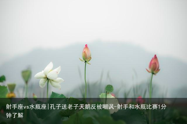 射手座vs水瓶座|孔子送老子天鹅反被嘲讽-射手和水瓶比赛1分钟了解