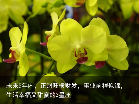 未来5年内，正财旺横财发，事业前程似锦，生活幸福又甜蜜的3星座