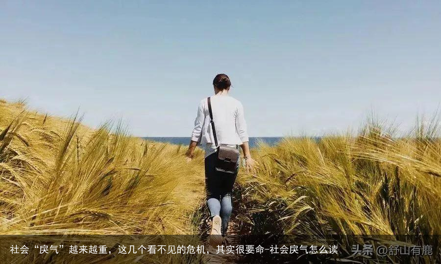 社会“戾气”越来越重，这几个看不见的危机，其实很要命-社会戾气怎么读