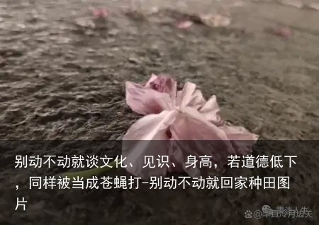 别动不动就谈文化、见识、身高，若道德低下，同样被当成苍蝇打-别动不动就回家种田图片