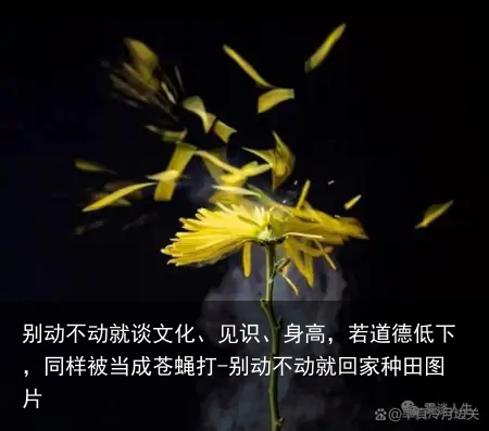 别动不动就谈文化、见识、身高，若道德低下，同样被当成苍蝇打-别动不动就回家种田图片