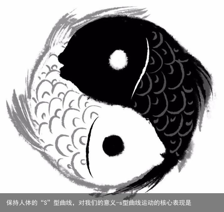 保持人体的“S”型曲线，对我们的意义-s型曲线运动的核心表现是