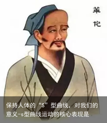 保持人体的“S”型曲线，对我们的意义-s型曲线运动的核心表现是
