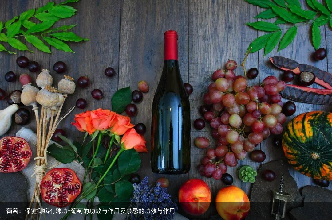 葡萄：保健御病有殊功-葡萄的功效与作用及禁忌的功效与作用