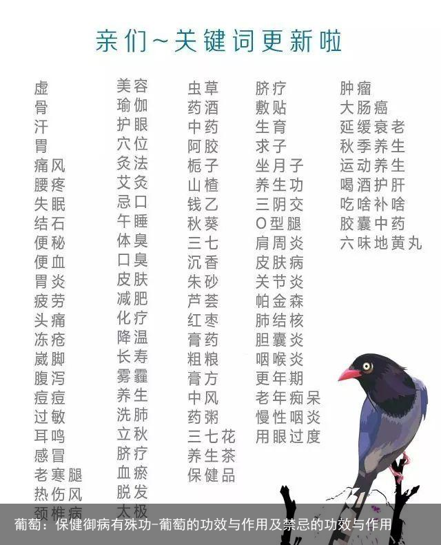 葡萄：保健御病有殊功-葡萄的功效与作用及禁忌的功效与作用