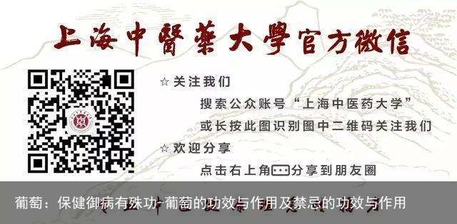 葡萄：保健御病有殊功-葡萄的功效与作用及禁忌的功效与作用