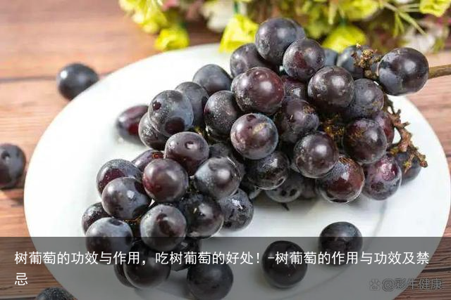 树葡萄的功效与作用，吃树葡萄的好处！-树葡萄的作用与功效及禁忌