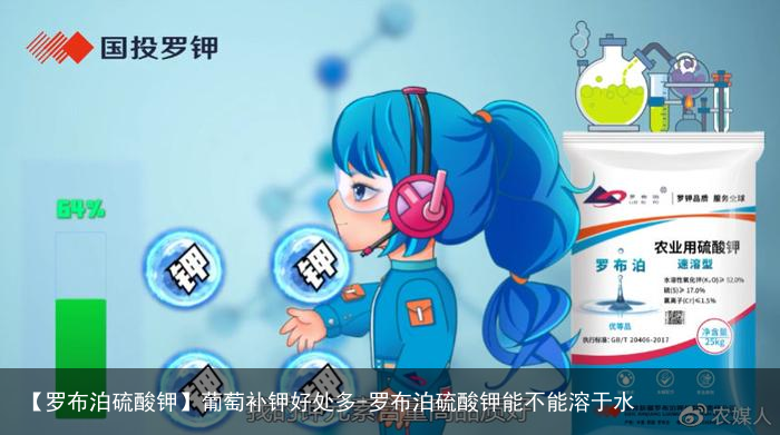 【罗布泊硫酸钾】葡萄补钾好处多-罗布泊硫酸钾能不能溶于水