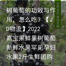 树葡萄的功效与作用，怎么吃？