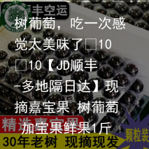 树葡萄，吃一次感觉太美味了