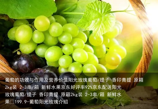 葡萄的功效与作用及营养价值