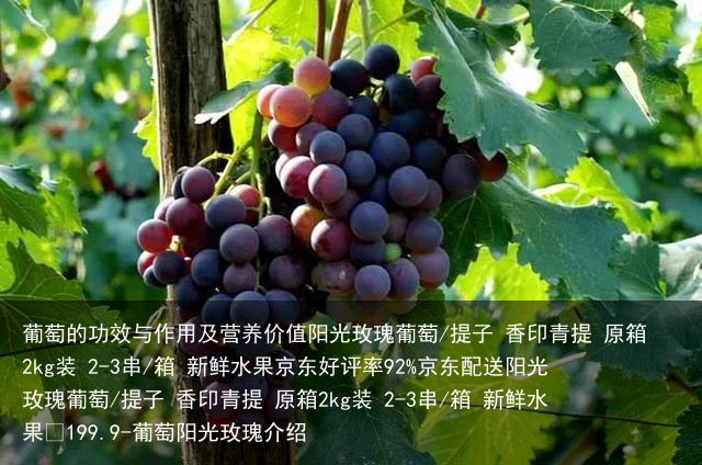 葡萄的功效与作用及营养价值