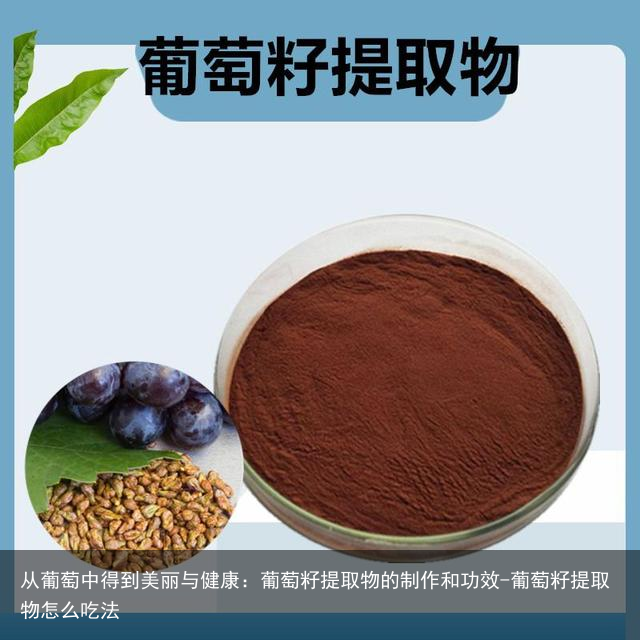 从葡萄中得到美丽与健康：葡萄籽提取物的制作和功效-葡萄籽提取物怎么吃法