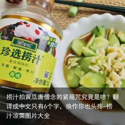 捞汁拍黄瓜-捞汁凉菜图片大全