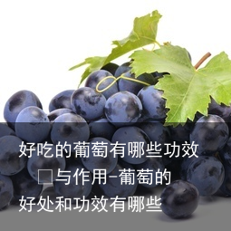 好吃的葡萄有哪些功效  	与作用-葡萄的好处和功效有哪些