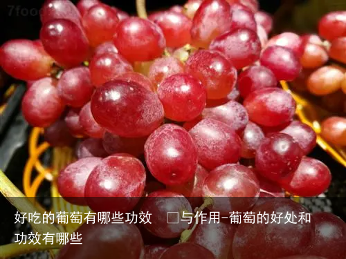 好吃的葡萄有哪些功效  	与作用-葡萄的好处和功效有哪些