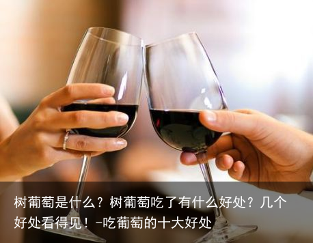 树葡萄是什么？树葡萄吃了有什么好处？几个好处看得见！-吃葡萄的十大好处