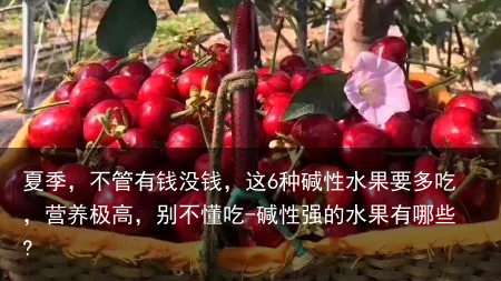 夏季，不管有钱没钱，这6种碱性水果要多吃，营养极高，别不懂吃-碱性强的水果有哪些?