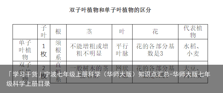 「学习干货」宁波七年级上册科学（华师大版）知识点汇总-华师大版七年级科学上册目录