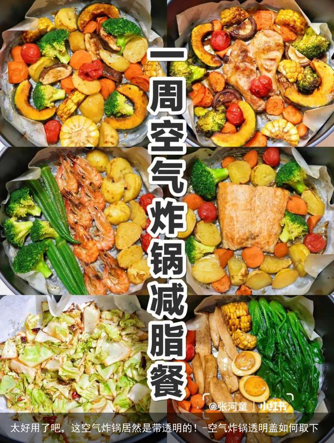 太好用了吧，这空气炸锅居然是带透明的！-空气炸锅透明盖如何取下