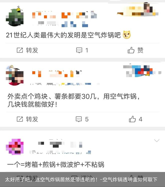 太好用了吧，这空气炸锅居然是带透明的！-空气炸锅透明盖如何取下