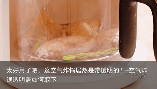 太好用了吧，这空气炸锅居然是带透明的！-空气炸锅透明盖如何取下