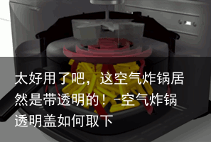 太好用了吧，这空气炸锅居然是带透明的！-空气炸锅透明盖如何取下