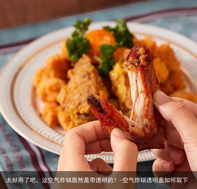 太好用了吧，这空气炸锅居然是带透明的！-空气炸锅透明盖如何取下
