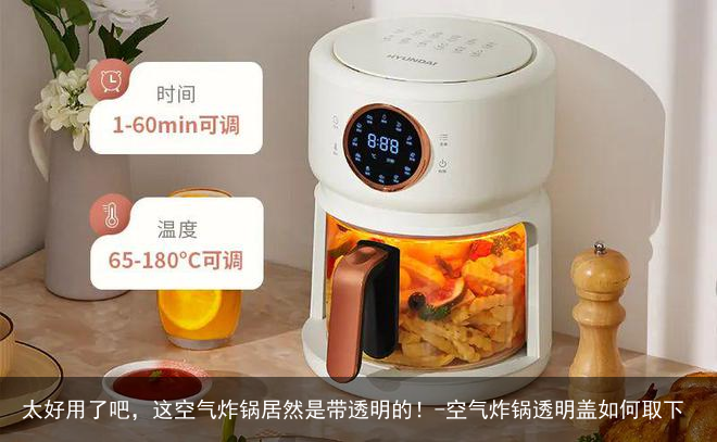 太好用了吧，这空气炸锅居然是带透明的！-空气炸锅透明盖如何取下