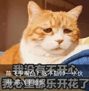 陈飞宇嘴凸？这不挺帅一小伙吗-陈飞宇脸长