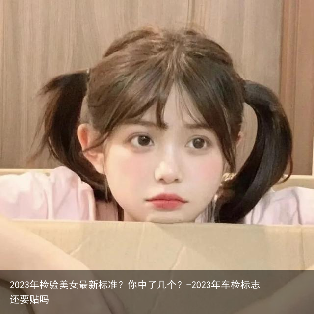 2023年检验美女最新标准？你中了几个？-2023年车检标志还要贴吗